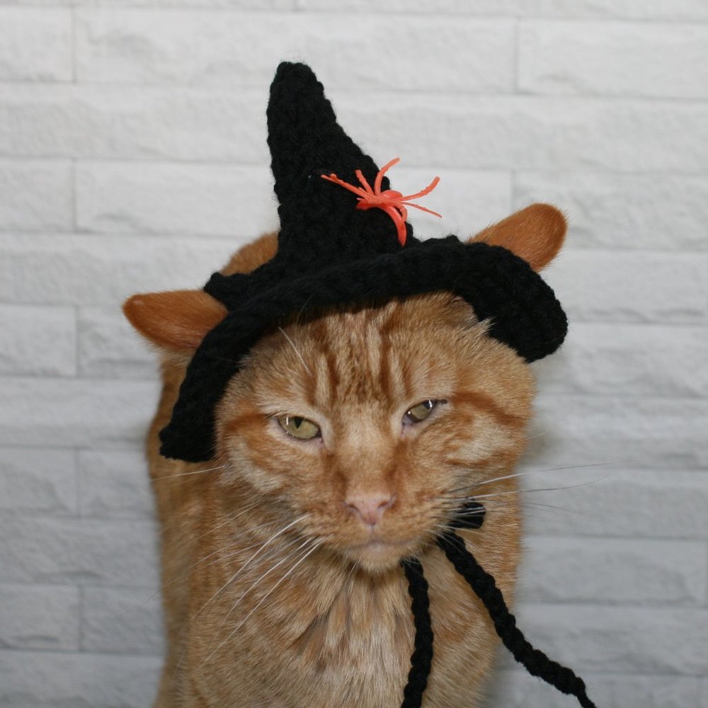 HAND CRAFTED Crochet Halloween Witch Hat Spider Cat Costume Photo Prop - Picture 4 of 13